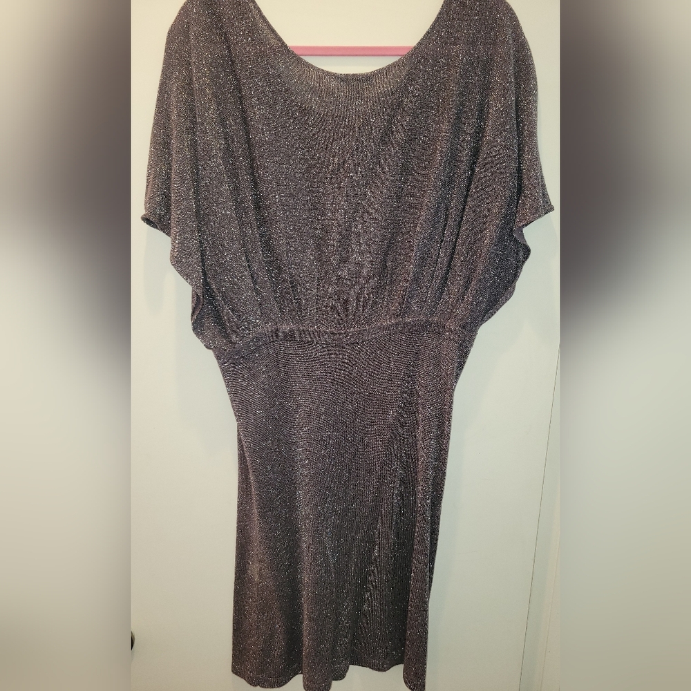 Metallic Gray Batwing Style Dress